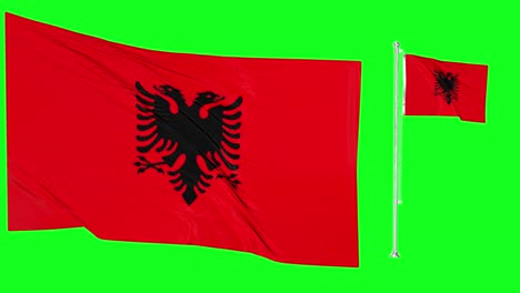 Green-Screen-Waving-Albany-Flag-or-flagpole